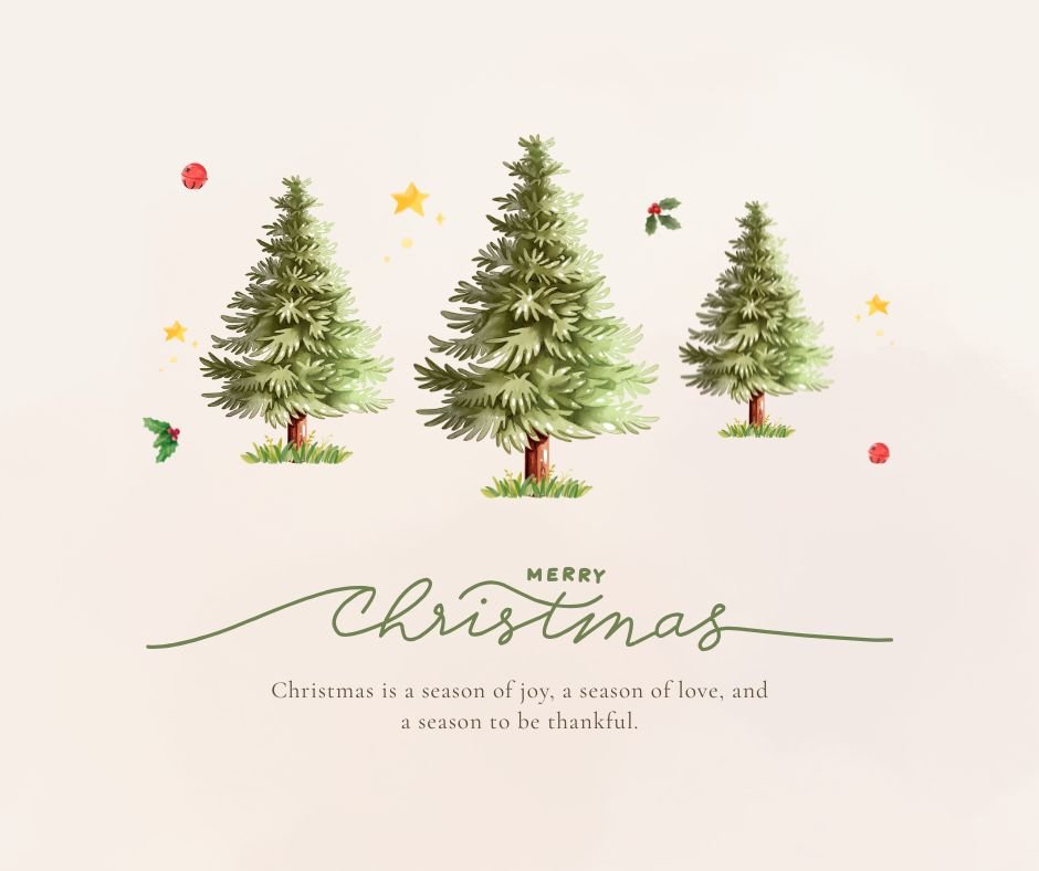 How to Make a Stunning Christmas Tree at Home